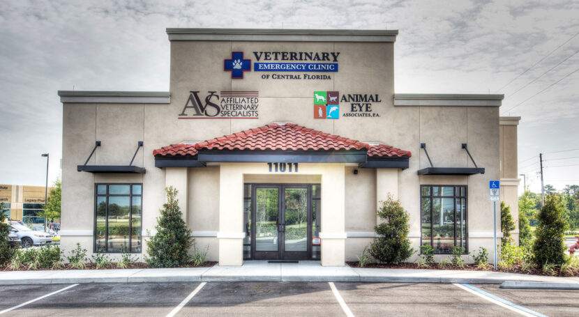 JDDP Emergency Veterinary Clinic lg2