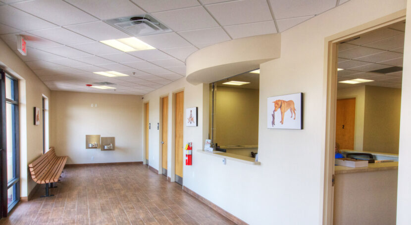 jddp Emergency Veterinary Clinic lg4