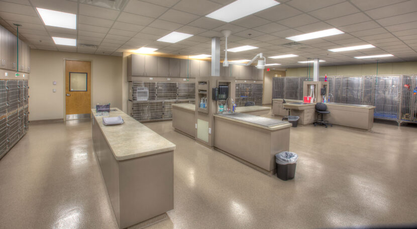 jddp Emergency Veterinary Clinic lg5